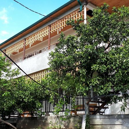 Inzhir Guest House New Athos Exterior foto