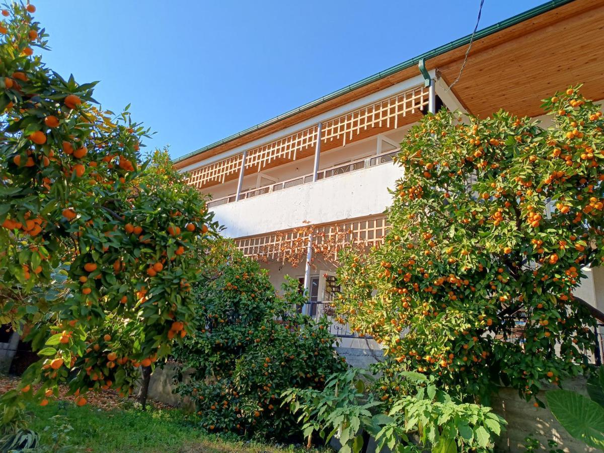 Inzhir Guest House New Athos Exterior foto
